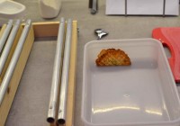 Der erste Parmesantaco