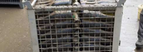 Laborergebnisse FlutWein